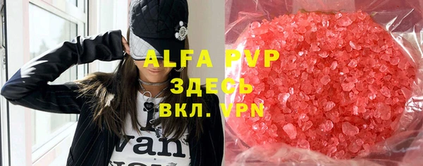 ECSTASY Алзамай