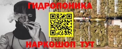 винт Гай