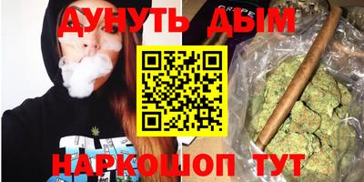 кокаин Гатчина