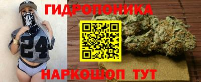 винт Гай