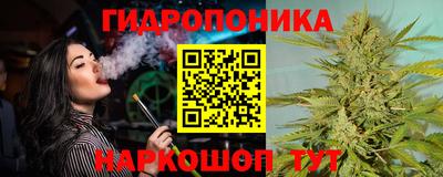 винт Гай