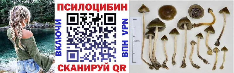 купить наркотик  Псков  Псилоцибиновые грибы прущие грибы 