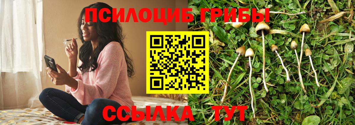 Галлюциногенные грибы мицелий  Вход с VPN  Псков 